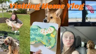 Visiting Home Vlog | Beach, Puppy Party, & Family Time