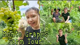 VLOG #27: Visiting my Cousin's Monte Grapes Farm