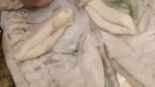 @عملنا تجربة عملية لشوي سمك سيجان صايم قنال وسمك سيجان صيد النهار ولكم الحكم.