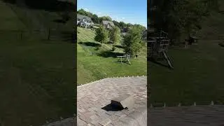 #stormdamage #roof #roofrepair #haildamage #roofing #roofingcontractor #roofinspection 5158292311