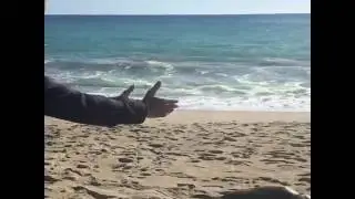 Elyes Gabel on set for Season 3 of Scorpion