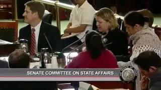 Attorney Ruby Powers speaks to the Texas Senate Committee on State Affairs