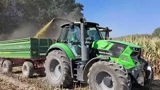 KISZONKA Z KUKURYDZY 2024 - CLASS JAGUAR 870 w Akcji #ursus