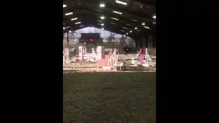 Libby and Sam pairs on mr blue