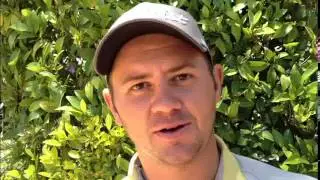 Danie van Tonder round 2
