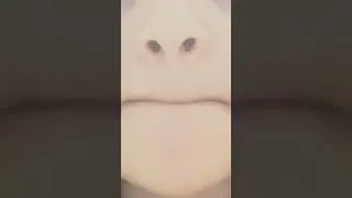 нормик? #eyes #greenscreen #glowup #makeup #funny #мурзя #пжрек #хочуврек #gachalife