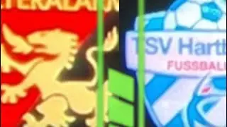 Wilder Stadion-Vlog Ö-Bundesliga Admira Wacker Mödling vs TSV Hartberg