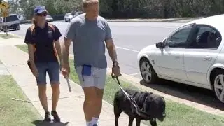 From Puppy to Guide Dog