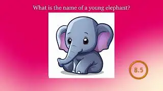 General Knowledge Trivia Quiz | Elephant  | Daily Quiz Round &mdash; 142