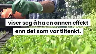 Naboloven &sect; 8 - Lovkommentar.no