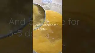 Mango Kvass: Your Natural Probiotic Soda