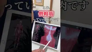 逆流性食道炎の治療ポイントを解説します✨#shorts