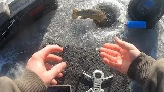 3x Personal Best Ice Fishing for Trout w/ Live Shiners