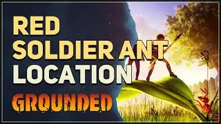 Red Soldier Ant Location Grounded