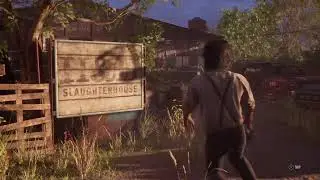 TCM  solo