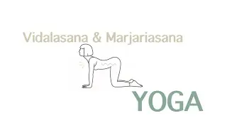 비탈라아사나,마르 자리아사나(소,고양이 자세) Cat-Cow Stretch | Spine Flexibility & Stress Relief