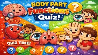 What Does Each Body Part Do? | Fun Body Parts Quiz for Kids