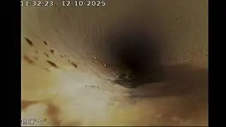 2025 12 10 11 07 38