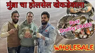 सबसे सस्ता मुंब्र्याचा होलसेल खेकड़ेवाला | Mumbra Crab Market | SRK Crab Suppliers।Qulity King Crab 