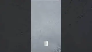 NJ residents reporting suspicious bird activity after the UAP/UFO sightings!