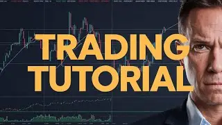 How to Find Low Float Undervalued Stocks Using Finviz (Quick Tutorial)