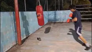 Zadiel bag work#boxing #belize