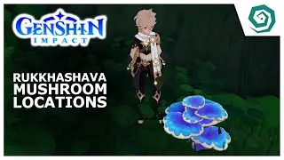 WHERE TO FARM RUKKHASHAVA MUSHROOMS - Sumeru - GENSHIN IMPACT