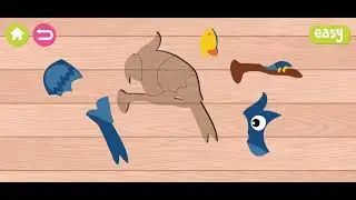 🦜🦚 11 Bird Shape Matching Puzzles for Toddlers - Bird Puzzles Walkthrough