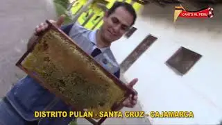 REPORTAJE DISTRITO PULAN 2018