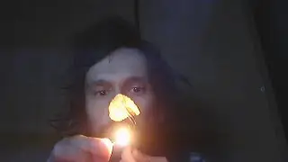Бонус видео к новогоднему обзору 2024. Чипсы с лососем подгорелые.