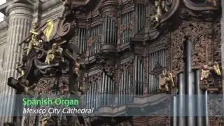 Mexico City's Cathedral [The plight of]
