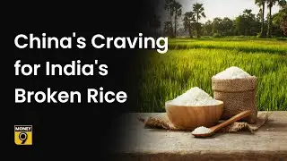 Money9 English: How is the export of rice increasing to China, what is it used for other than food