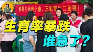 生育率暴跌，当年的 “只生一个好”，为何变成如今的 “坚决不生“？【真相】 | 宇宙編輯部