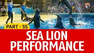 SEA LION PERFORMANCE | SAFARI WORLD BANGKOK | THAILAND VLOG | PART 55 | PASSPORT DIARIES