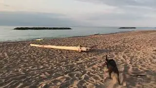 PESSIMISTIC REALISM TALK @ PRESQUE ISLE BEACH AT LAKE ERIE | Pessimistic Philosophy Explained