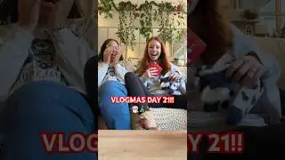 ДЕНЬ ВЛОГА 21🎄Праздничный сбор✨#vlogmas #vlogmas2025 #vlogmasuk #vlogmasday21 #christmas2025