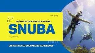 Snuba at De Palm Island Aruba