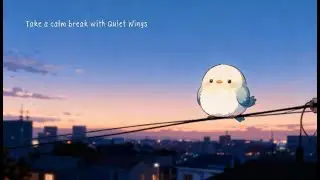 Quiet Bird on a Wire at Sunset | Lo-Fi beats for Work & Focus | 1 hour