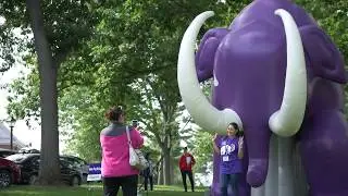Orientation 2019 - Amherst College