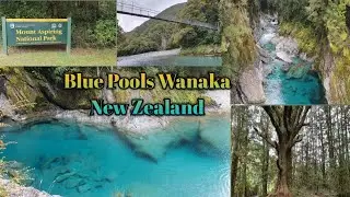 BLUE POOLS TRACK ,WANAKA NEW ZEALAND..