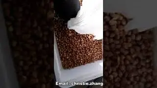 hazelnut shells separating machine