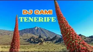 #newstyle #housemusic #music #dj #canaryislands #djremix #musicset