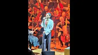 תמיר גרינברג - הללויה Tamir Grinberg - Halleluiah