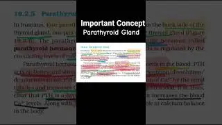 Parathyroid Gland & it's Function #medical #biology #nvs #pgt #kvspgt #neet #trending