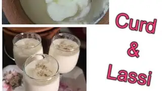 Homemade Curd and Lassi in clay pot | homemade curd | homemade lassi | curd in clay pot | lassi