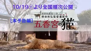 ◆『五香宮の猫』（想田和弘監督）本予告編◆