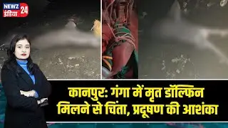 कानपुर: गंगा में मृत डॉल्फिन मिलने से चिंता, प्रदूषण की आशंका | #Ganga_River | Kanpur News