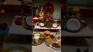 Mini Vlog 36: Krishna jayanthi celebration of last year 🎉🎉🎉 #divine