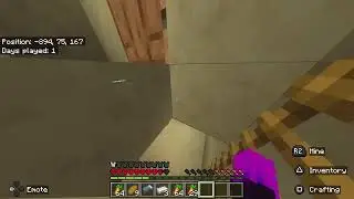 Haveing fun in Minecraft