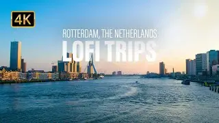Relax and Drive: Lofi Road Trip Through Beautiful Rotterdam